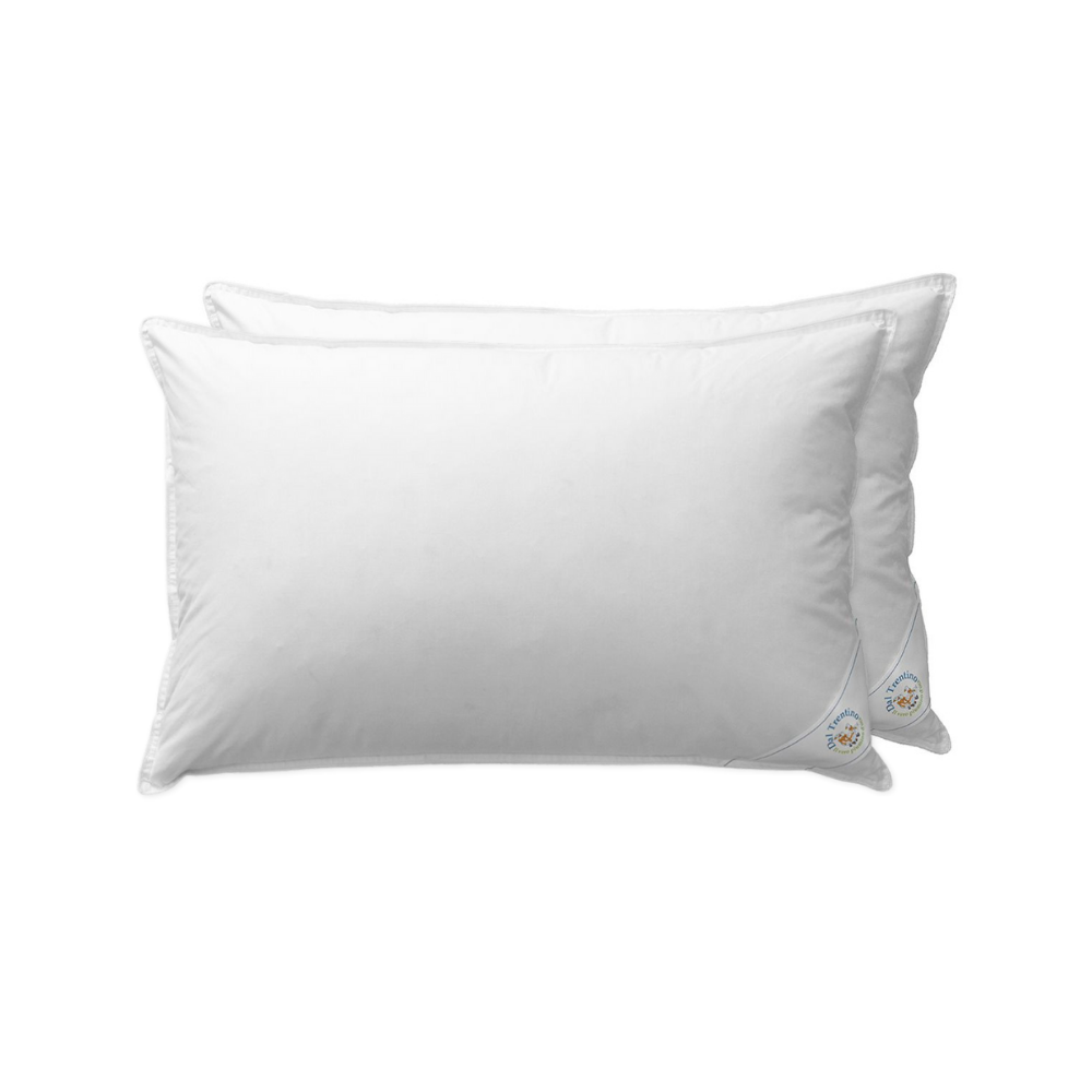 Set 2 guanciali letto. Due cuscini bianchi della marca Daunex su sfondo bianco