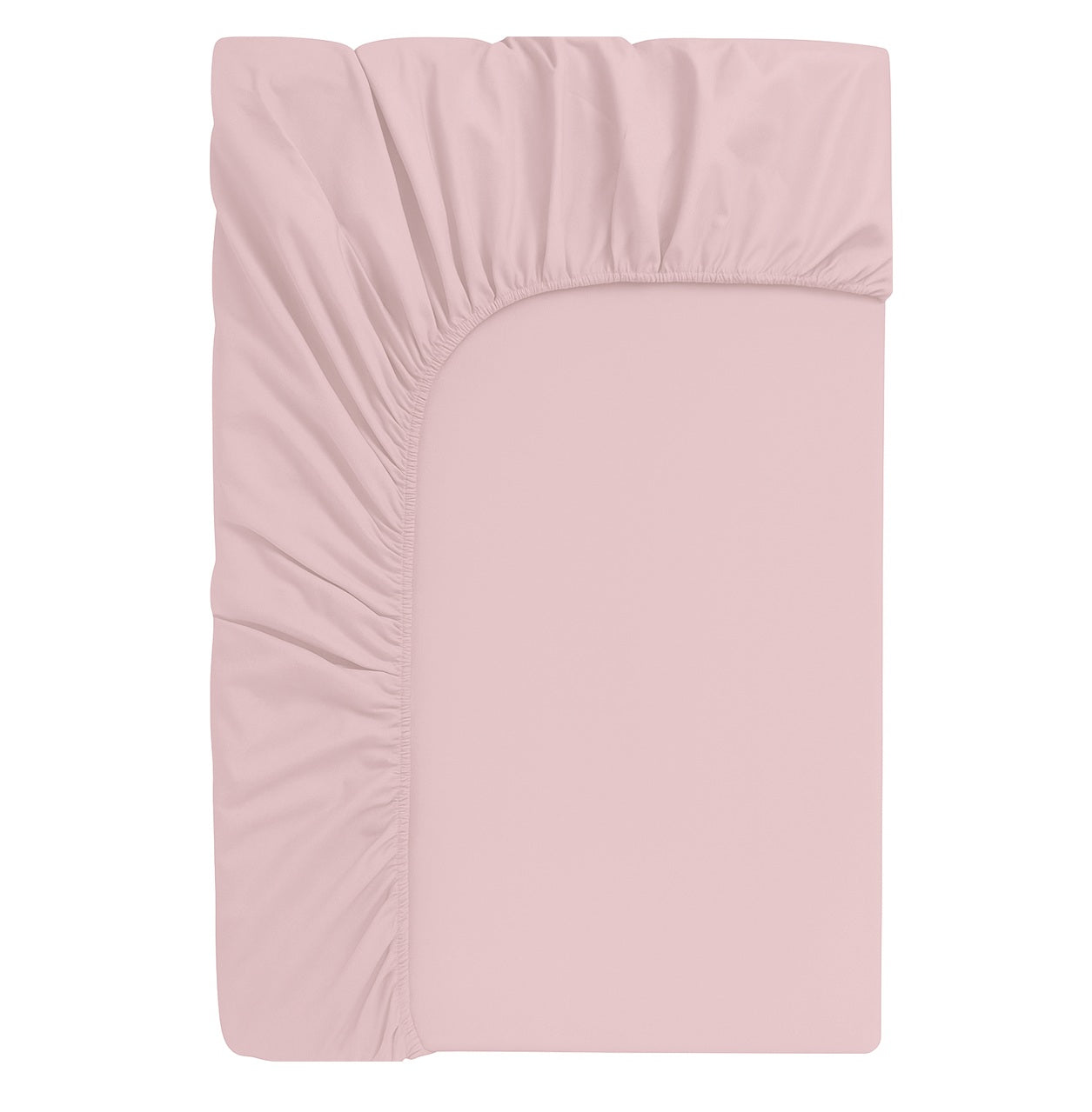 Lenzuolo sotto con angoli elasticizzato no-stiro, in cotone Makò - Letto matrimoniale