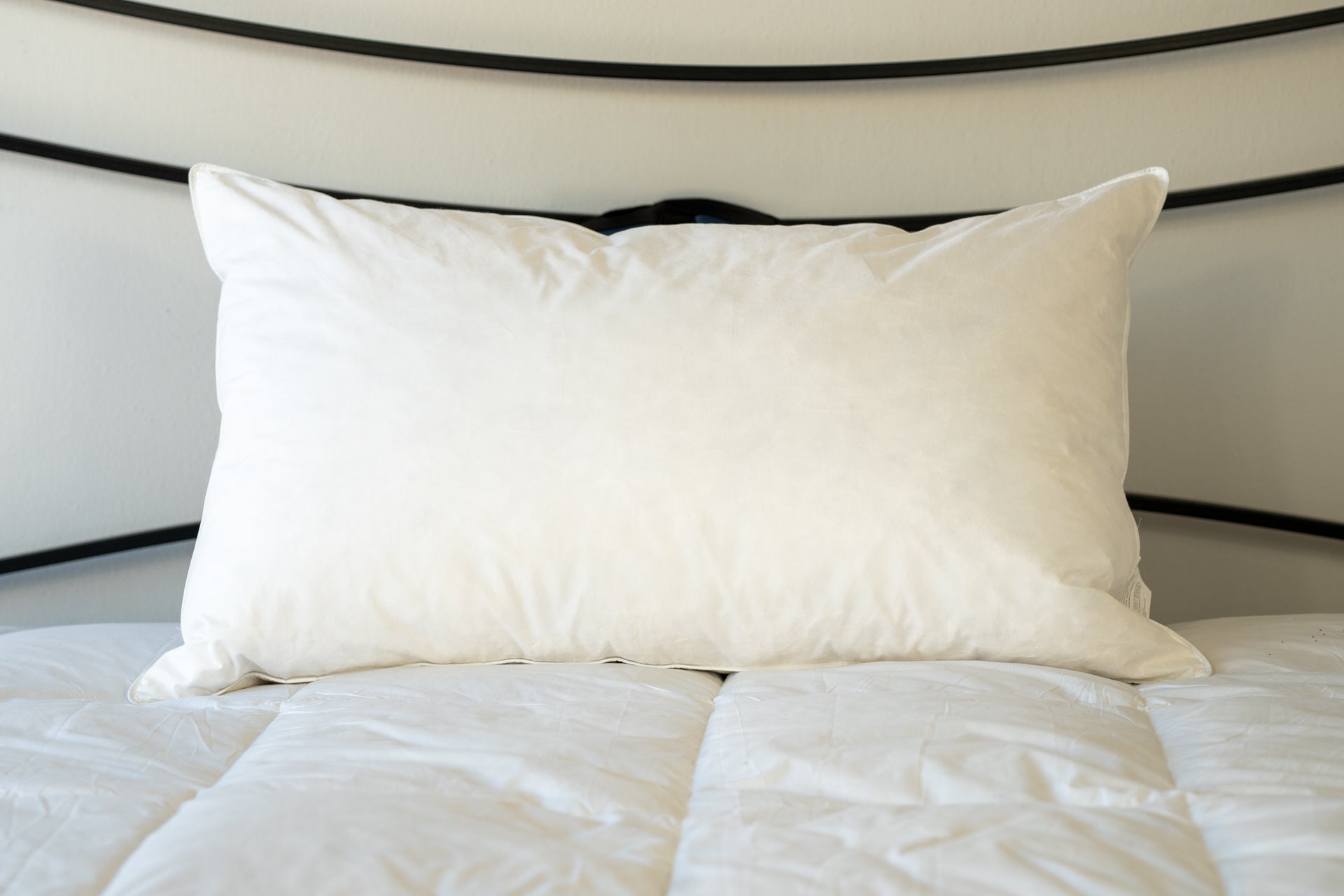 Cuscino Letto Morbido In Piuma D'oca, FILLsoft, Guanciale In Piuma D'oca, Cuscin